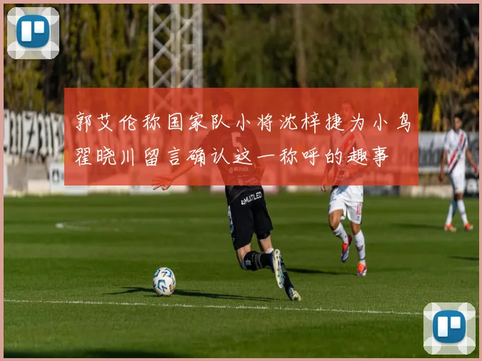 郭艾伦称国家队小将沈梓捷为小鸟翟晓川留言确认这一称呼的趣事