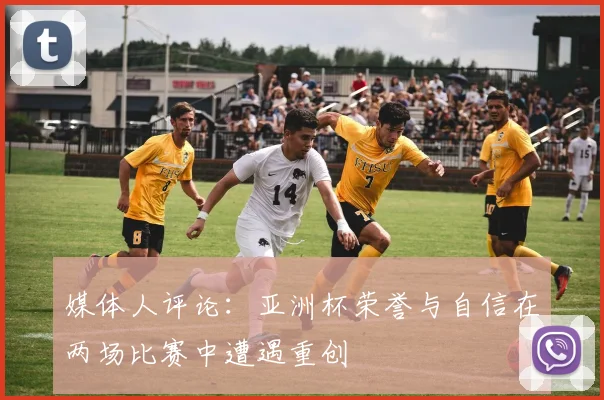 媒体人评论：亚洲杯荣誉与自信在两场比赛中遭遇重创